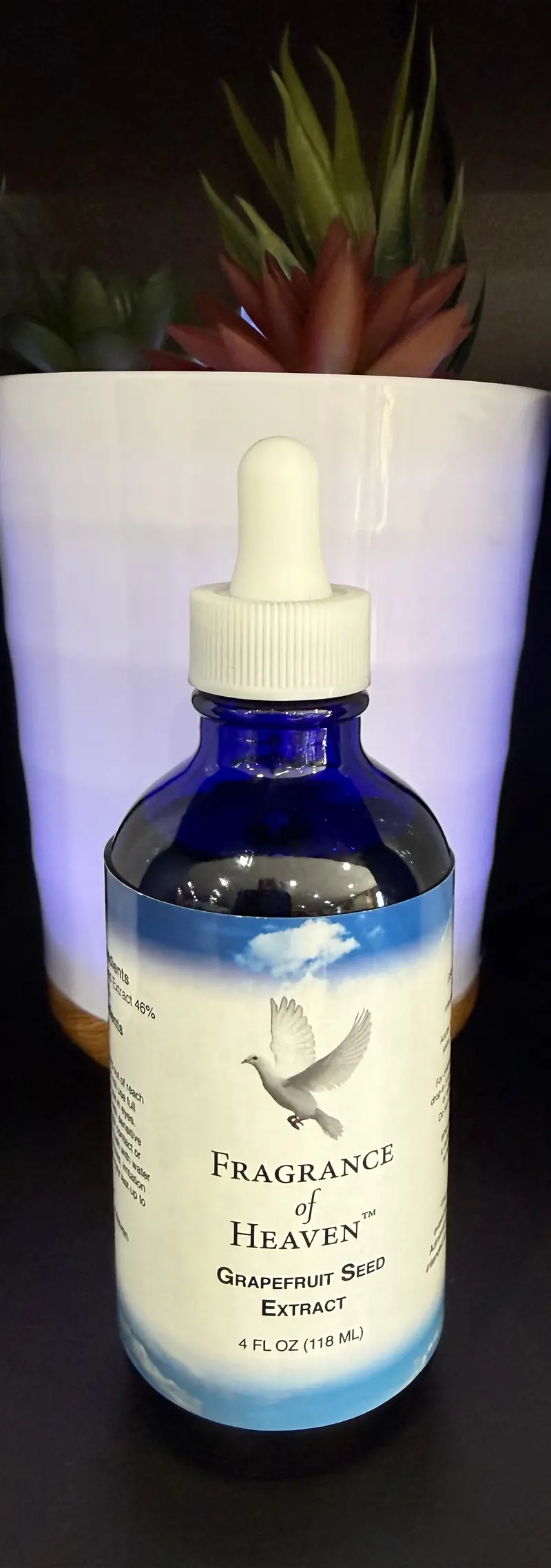 Grapefruit Seed Extract